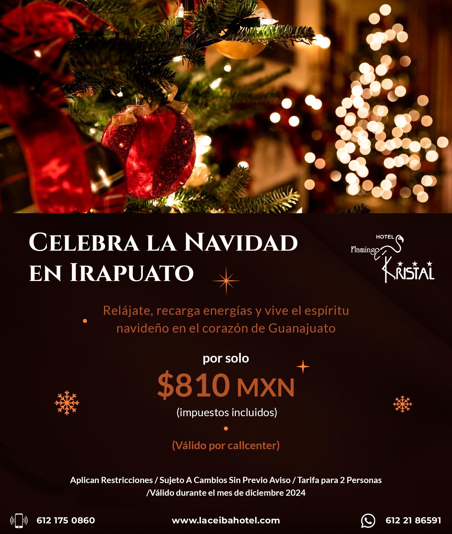 oferta especial hospedaje octubre hotel Flamingo Kristal